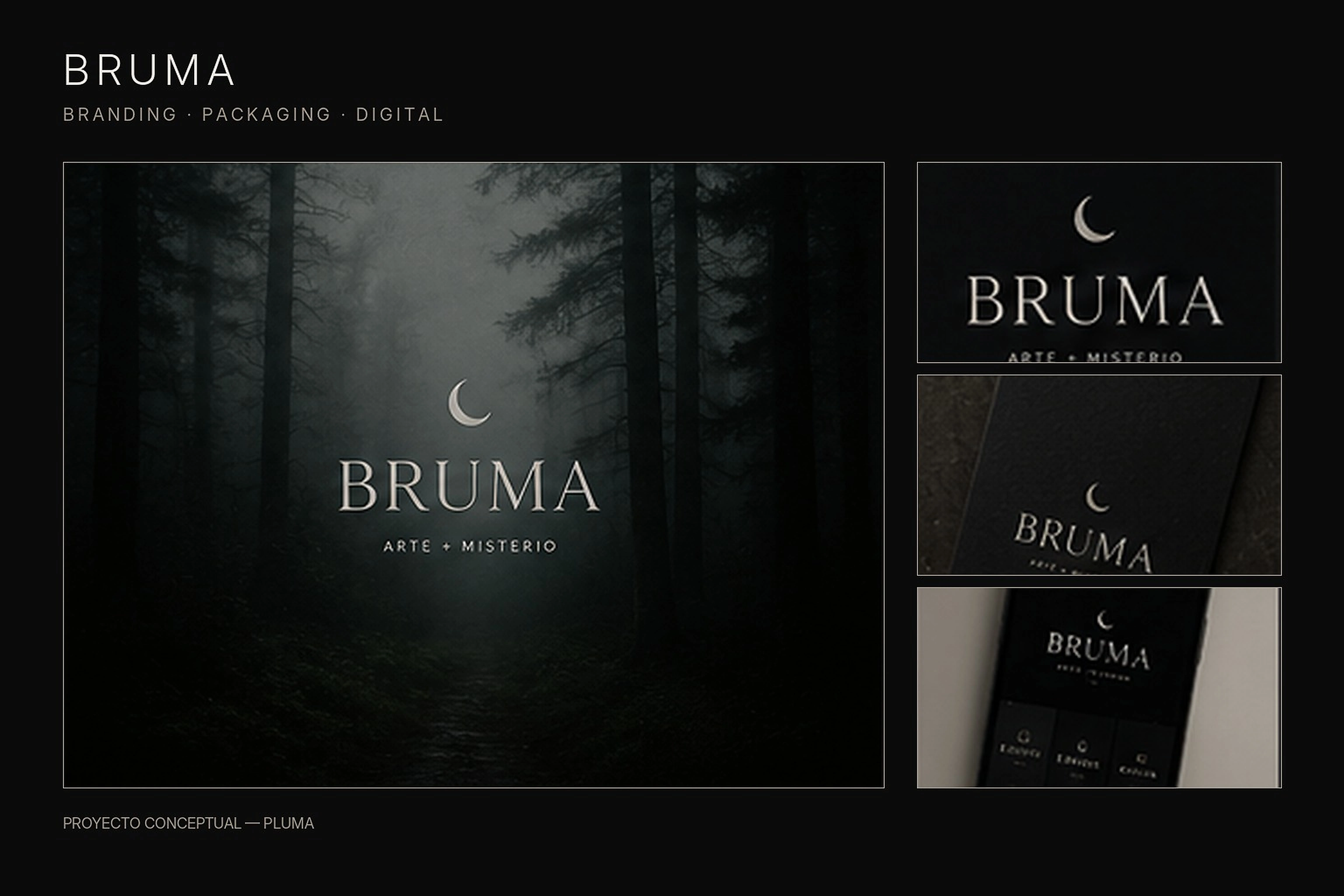 Presentación completa del proyecto conceptual BRUMA